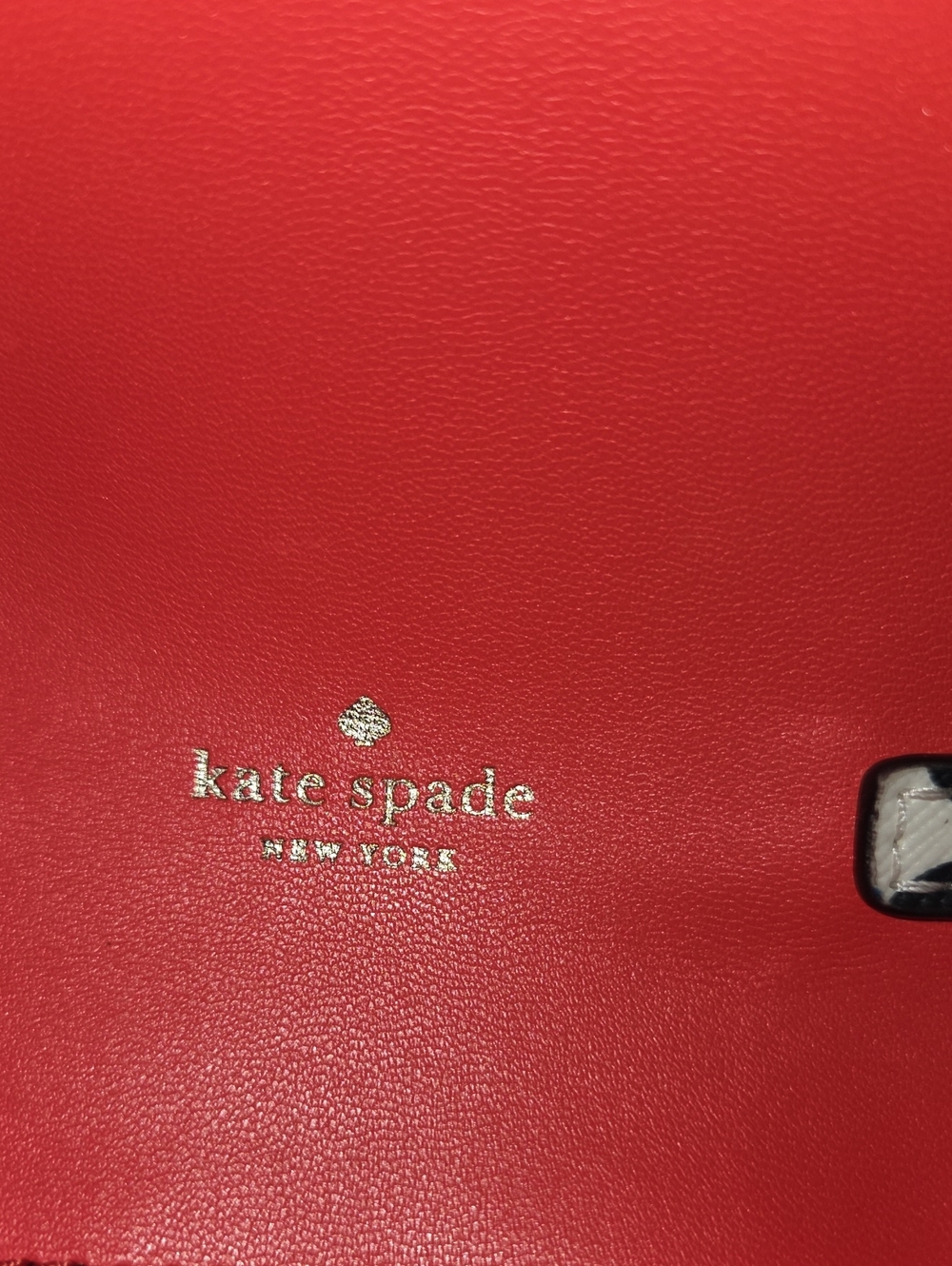 Kate Spade New York Ivory Floral Crossbody Phone Bag - Picture 4 of 5